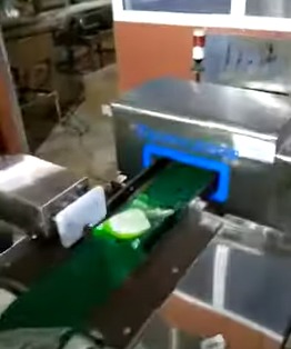 Conveyor Metal Detector (Sugar)